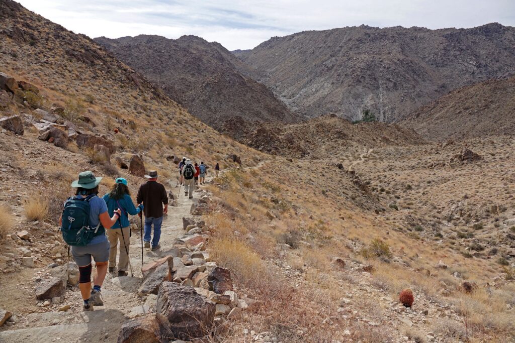 Journey to Coachella Valley