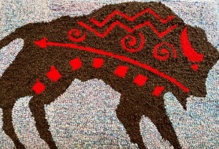 Bison Wool Rugs